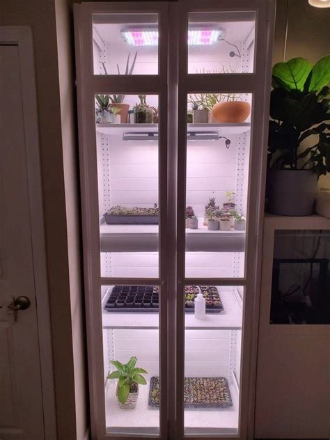 This simple indoor greenhouse is right for a small space, it's built of wood and there are some containers for growing. How to build an indoor greenhouse cabinet | 1000 in 2020 ...