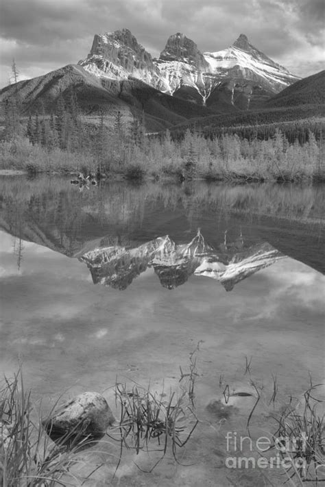 Three Sisters Reflection Portrait Black And White Photograph By Adam