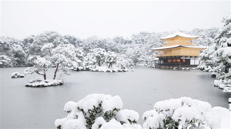 Wallpaper Japan Temple Lake Snow Branch Ice Frost