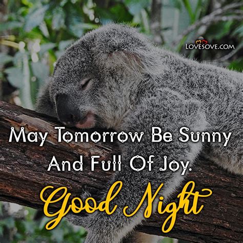May Tomorrow Be Sunny And Full Of Joy Good Night