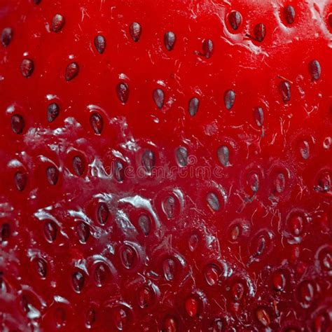 Bright Red Juicy Strawberry Closeup Stock Image Image Of Fruit