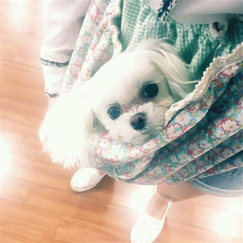 Snsd Seohyun Posed For A Cute Selca Picture Wonderful Generation
