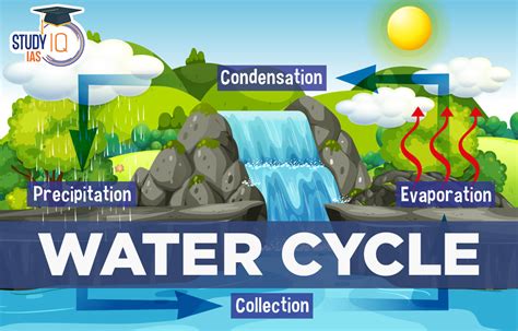Water Cycle Definition Phases Significance And Diagram