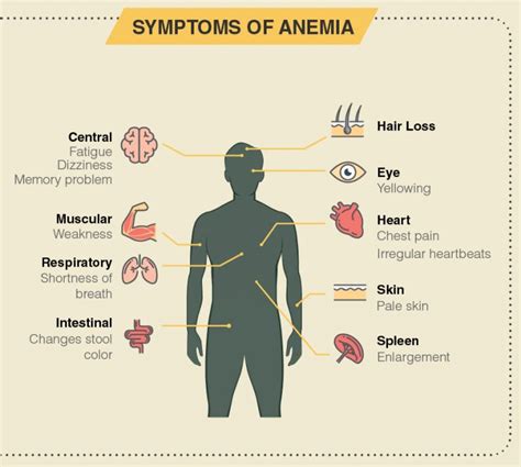 Overview Of Anemia Signs Symptoms Causes And Treatment