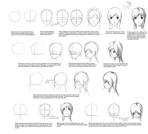 Drawing Heads And Faces Basics By Inkstep On Deviantart