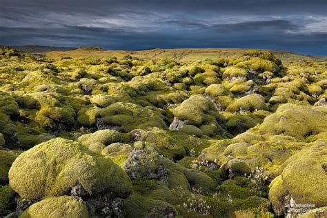 Eldhraun Moss Covered Lava Stones Landscapes Iceland Europe