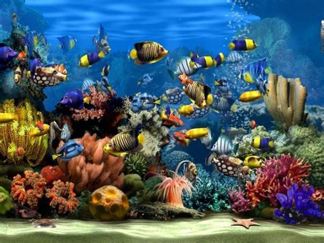 Living Marine Aquarium 2 Bilder Screenshots Computer Bild Artpop