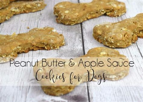 35 Homemade Pet Recipes Your Dogs And Cats Will Beg For
