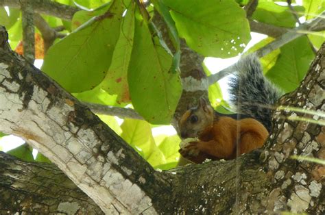 *free* shipping on qualifying offers. Guide du routard costa rica 2016