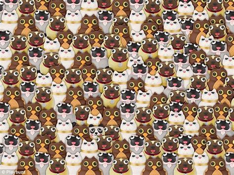 Can You Spot The Panda Can You Find It Hidden Images Hidden Pictures