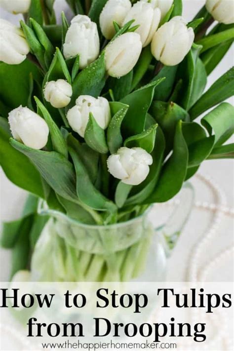 Here's how to keep fresh flowers alive and fresh longer after they're cut. How to Keep Tulips from Drooping | The Happier Homemaker