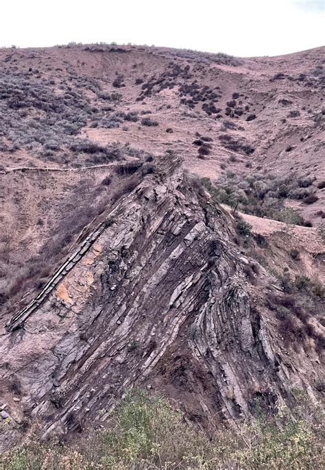 Oc Anticline Rock Fold Piru California Is This The Result Of A