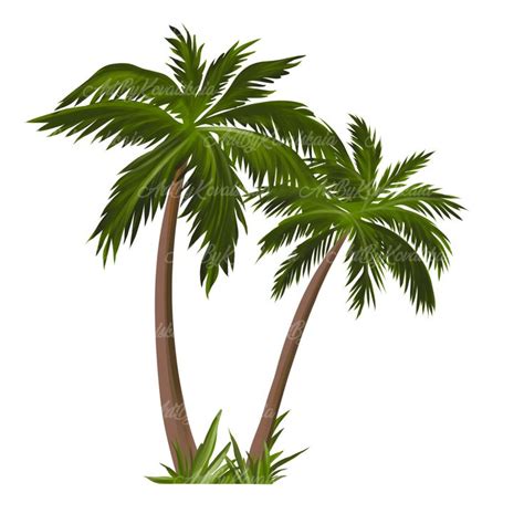 Palm Tree PNG Palm Trees PNG Palm Tree Tropical Tree PNG Digital