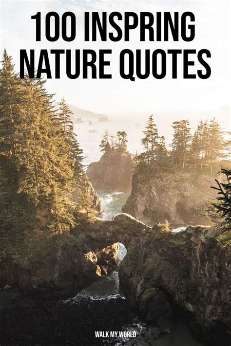 100 Nature Captions Which Are Perfect For Your Instagram Pics — Walk