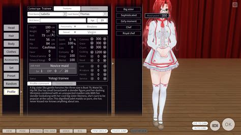 COM3D2 Primer For New Players Steam Solo