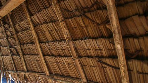 The Nipa Hut In The Philippines Stock Image Image Of Brown Tree