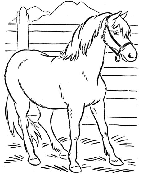 Free Printable Horse Coloring Pages For Kids Coloring Home