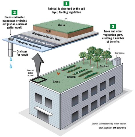 How A Green Roof Works And The Benefits Of Going Green News