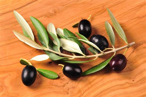 Black Olive Fruits Stock Photo Image Of Healthiness 17840418