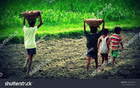 2058 Child Labor Farms Images Stock Photos And Vectors Shutterstock