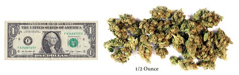One ounce of high quality marijuana first we looked at the average price of high quality marijuana (one ounce). How Much Is 10 Bucks Worth Of Weed - V Bucks Hack Site