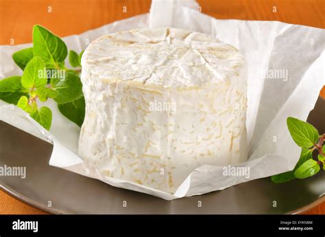 French Soft Cheese With White Penicillium Candidum Rind Stock Photo Alamy