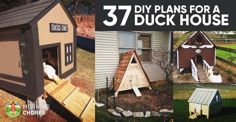Whether you're looking to buy your first house or moving into your dream home, buying a house always seems to take longer than expected. 37 Free DIY Duck House / Coop Plans & Ideas that You Can ...