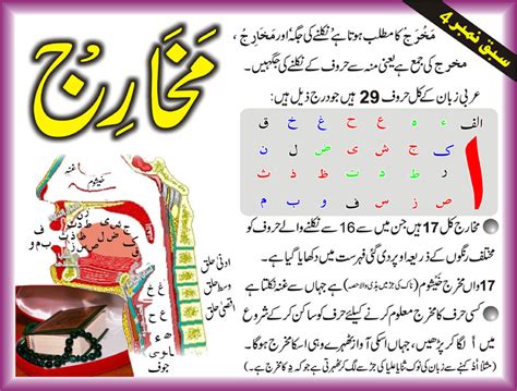 By this age children should be able to count to ten and recite their abc. Recite Quran By Learning Tajweed Rules In Urdu- Jamia Anwar ul Quran Wal Hadith