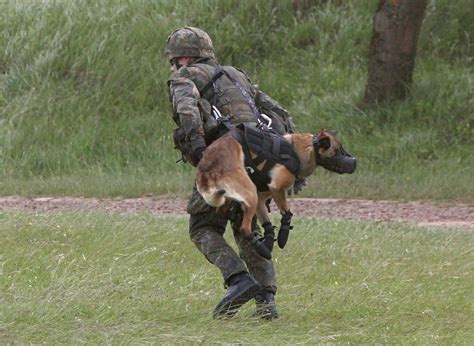 These Photos Prove How Strong The Bond Is Between Soldiers And Their