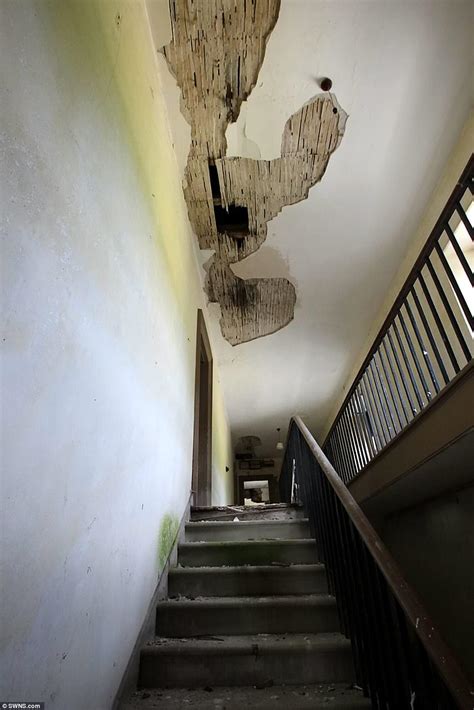 30 photos · curated by laura chouette. Home frequented by Coco Chanel drops to £2.5m | Daily Mail ...