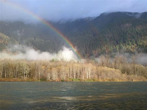 Skagit River Eagle Tours Mount Vernon All You Need To Know Before