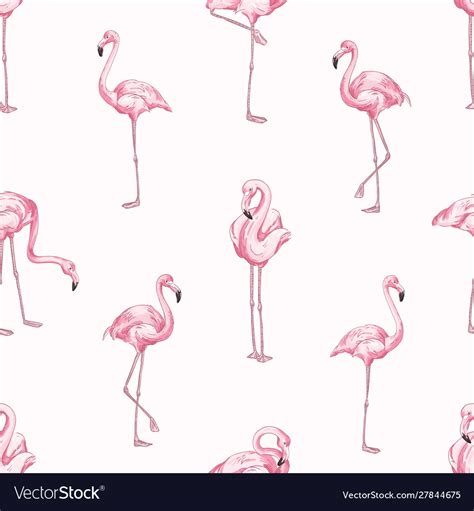 Pink Flamingos Seamless Pattern Beautiful Vector Image