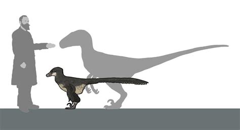 Jurassic World Vs Science Atrociraptor Jurassic Park Know Your Meme Prehistoric Dinosaurs