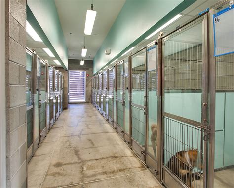 Bda Architecture Animal Shelters