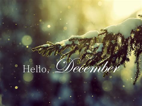 Hello December Wallpapers Top Hình Ảnh Đẹp