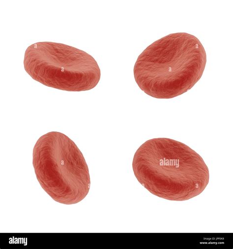 3d Rendering Red Blood Cells Stock Photo Alamy