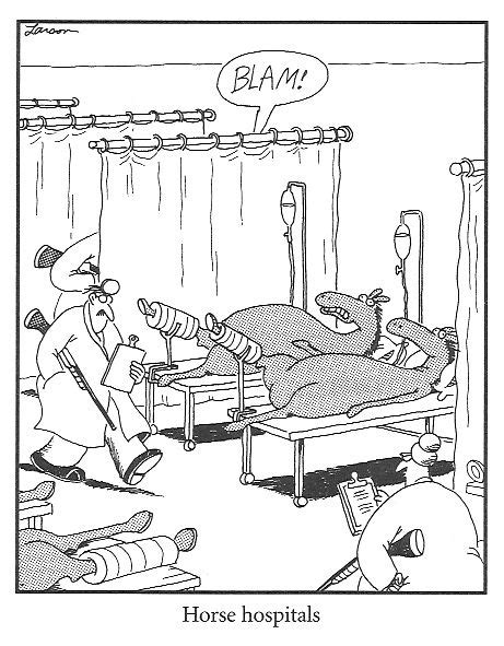 Pin By A Sanford On Stuff To Make Me Laugh Far Side Cartoons Gary
