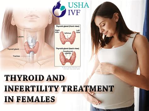 Thyroid And Infertility Treatment In Females Usha Ivf