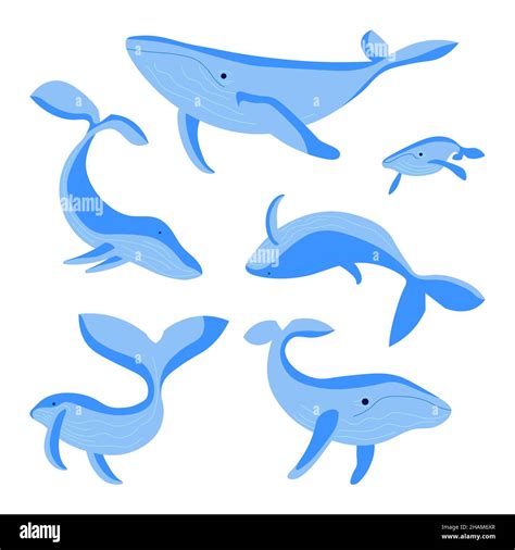 Set Of Blue Whales Isolated On White Background Sea Animals Swimming