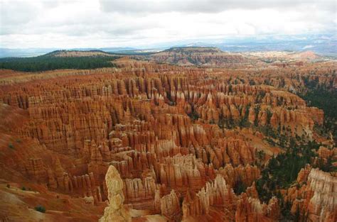 Bryce Bryce Canyon National Park Sightseeing Tour Getyourguide
