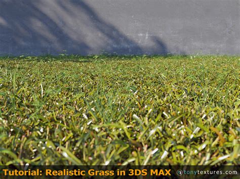 Tutorial How To Make And Render Super Realistic 3d Grass With 3ds Max