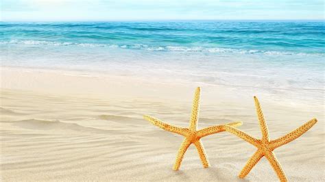 Nice Summer Beach Sea And Starfish Theme Hd Wallpaper