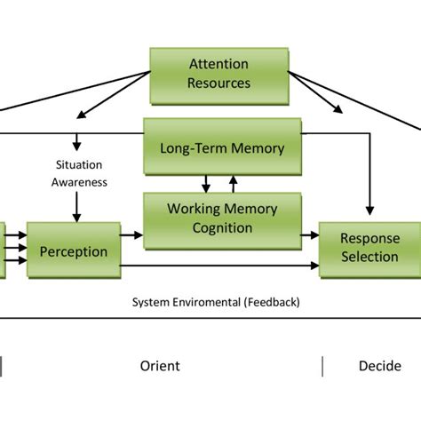 The Human Information Processing Model Adapted From Wickens Hollands