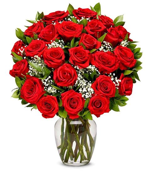 Two Dozen Red Roses At From You Flowers