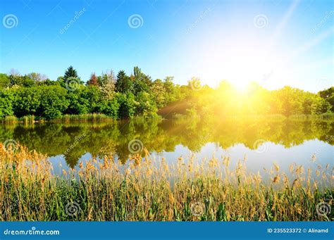 Magnificent Sunrise On The Lake With Reeds And Trees Reflecting In The