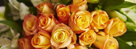 Maybe you would like to learn more about one of these? Flower Delivery Culver City #gardening #garden #DIY #home ...