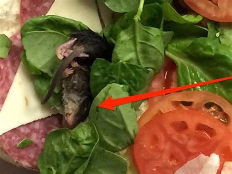Man Claims He Found A Dead Mouse In His Subway Sandwich Business Insider