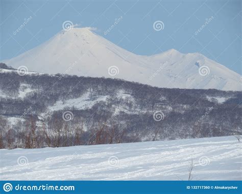 Beautiful Winter Volcanic Landscape Of Kamchatka Peninsula View Of