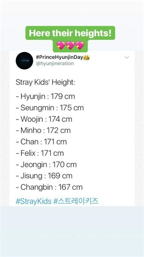 Hyunjin Hiatus Stray Kids Heights I Am 177cm So Only Hyunjin Is