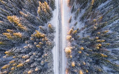 Download Wallpapers Winter Forest Top View Road Snow Snowy Forest